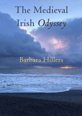 Barbara Hillers - The Medieval Irish Odyssey, Häftad