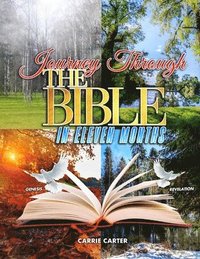 bokomslag Journey Through the Bible in Eleven Months