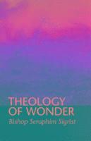 bokomslag Theology of Wonder