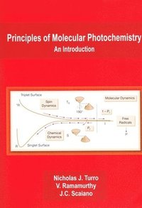 bokomslag Principles of Molecular Photochemistry