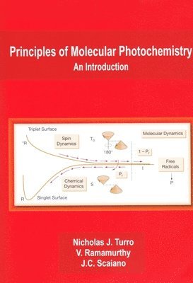 Principles of Molecular Photochemistry 1