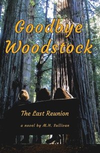 bokomslag Goodbye Woodstock