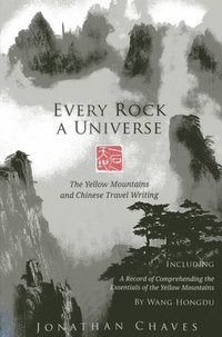 bokomslag Every Rock a Universe