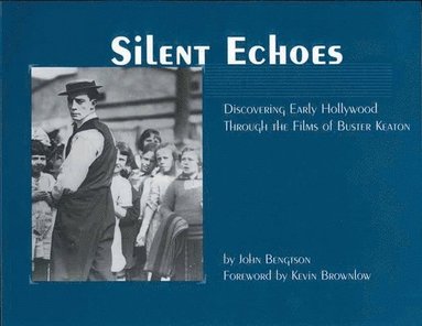 bokomslag Silent Echoes