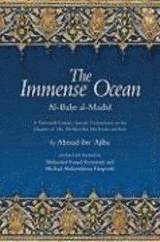 bokomslag The Immense Ocean