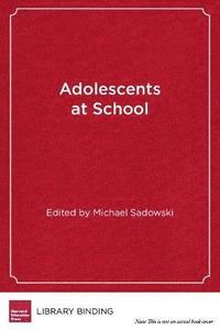 bokomslag Adolescents at School