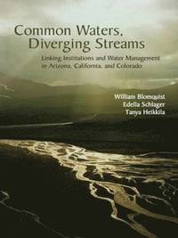 bokomslag Common Waters, Diverging Streams