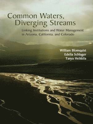 Common Waters, Diverging Streams 1