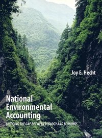 bokomslag National Environmental Accounting