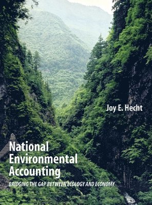National Environmental Accounting 1