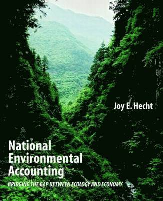 bokomslag National Environmental Accounting