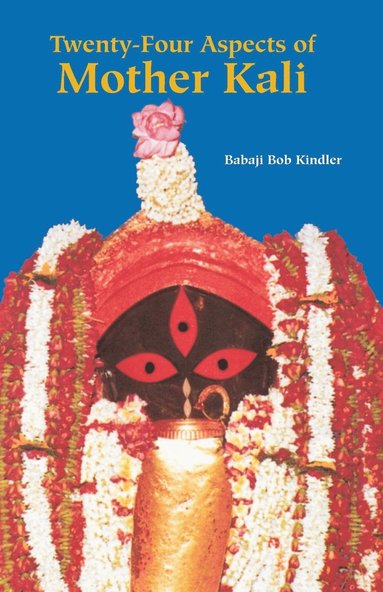 bokomslag Twenty-Four Aspects of Mother Kali