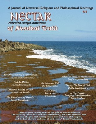 Alexander Hixon, Rabbi Rami Shapiro, Babaji Bob Kindler - Nectar of Nondual Truth #38, Häftad