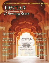bokomslag Nectar of Nondual Truth #39