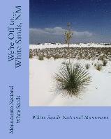 We're Off to...White Sands National Monument: New Mexico 1