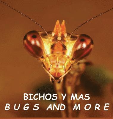 bokomslag Bichos y Mas: Bugs and More