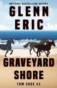 bokomslag Graveyard Shore