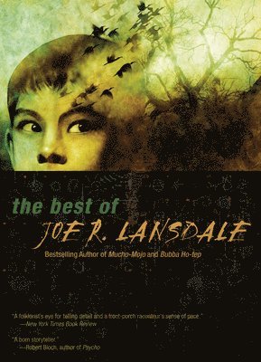 bokomslag Best of Joe R. Lansdale