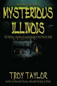 bokomslag Mysterious Illinois