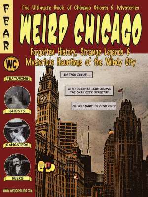 Troy Taylor, Adam Selzer, Ken Melvoin-Berg - Weird Chicago, Häftad