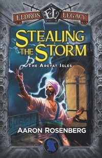 bokomslag Stealing the Storm