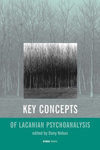 bokomslag Key Concepts of Lacanian Psychotherapy