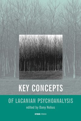 bokomslag Key Concepts of Lacanian Psychoanalysis