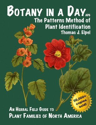 bokomslag Botany in a Day: The Patterns Method of Plant Identification