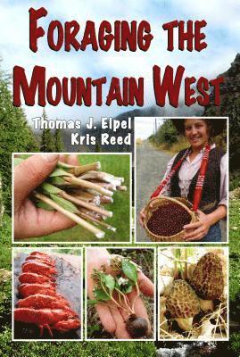 bokomslag Foraging the Mountain West: Gourmet Edible Plants, Mushrooms, and Meat