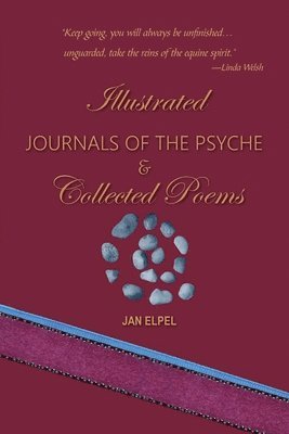 bokomslag Journals of the Psyche