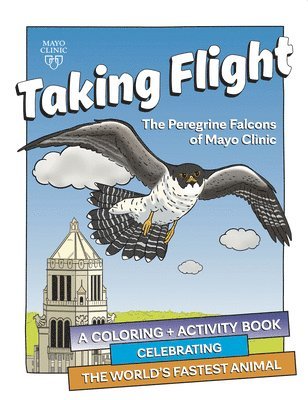 Taking Flight: The Peregrine Falcons Of Mayo Clinic 1