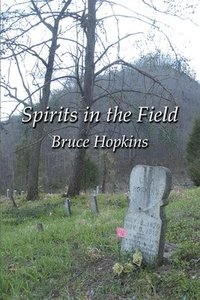 bokomslag Spirits in the Field: An Appalachian Family History