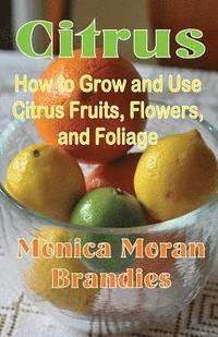 bokomslag Citrus