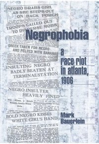 bokomslag Negrophobia
