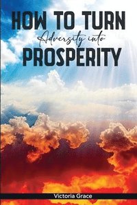 bokomslag How to Turn Adversity Into Prosperity