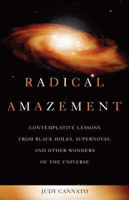 Radical Amazement 1