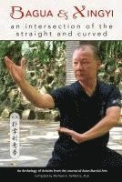 bokomslag Bagua and Xingyi