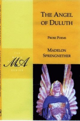 Madelon Sprengnether - Angel of Duluth, Häftad