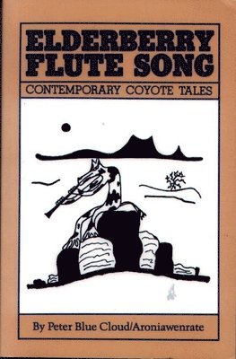 Peter Blue Cloud - Elderberry Flute Song, Häftad