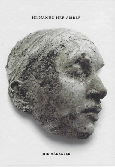 Iris Häussler - He Named Her Amber, Inbunden