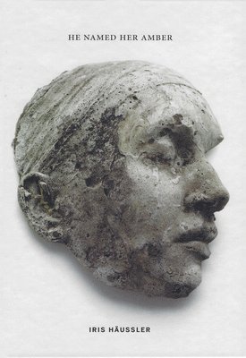 Iris Häussler - He Named Her Amber, Inbunden