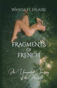 bokomslag Fragments of French