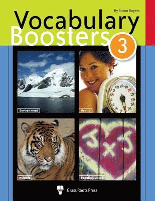 bokomslag Vocabulary Boosters 3