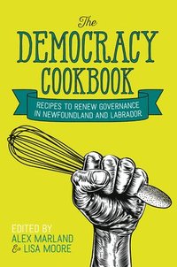 bokomslag Democracy Cookbook