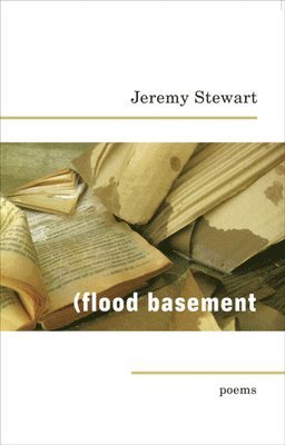 Flood Basement 1