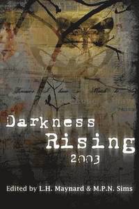 bokomslag Darkness Rising 2003