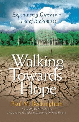 bokomslag Walking Towards Hope: Experiencing Grace in a Time of Brokenness