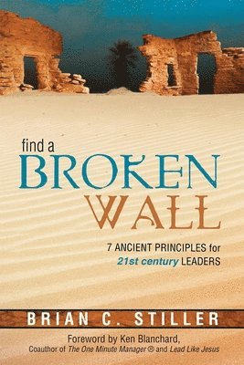 bokomslag Find a Broken Wall