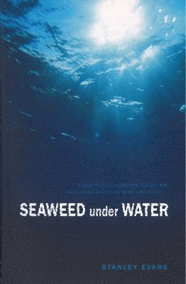 Seaweed Under Water 1