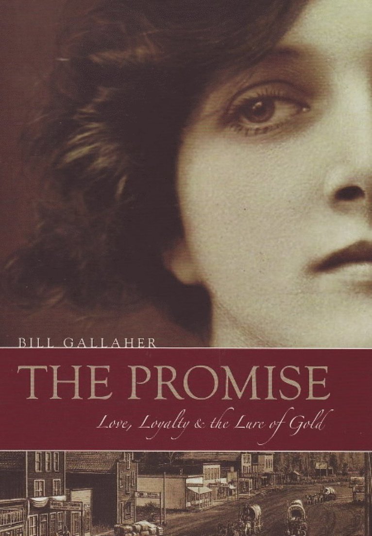Bill Gallaher - Promise, Häftad